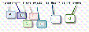 grp001-1.jpg