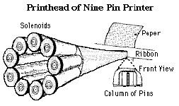 nar001-1.jpg