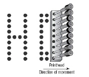 nar001-1.jpg