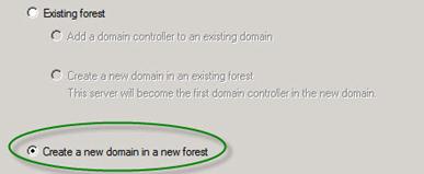 create a new forest.jpg