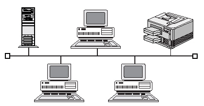 ethernetquiz_files/i0060000.jpg