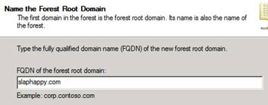 name root domain.jpg