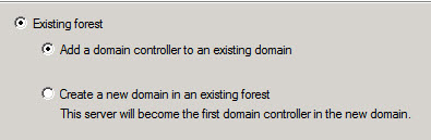 existing forest.jpg