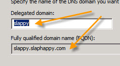 DNS2.jpg