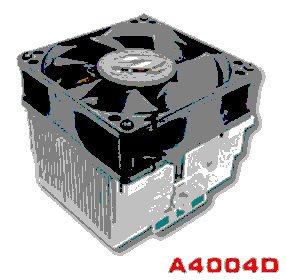 co018-1.jpg